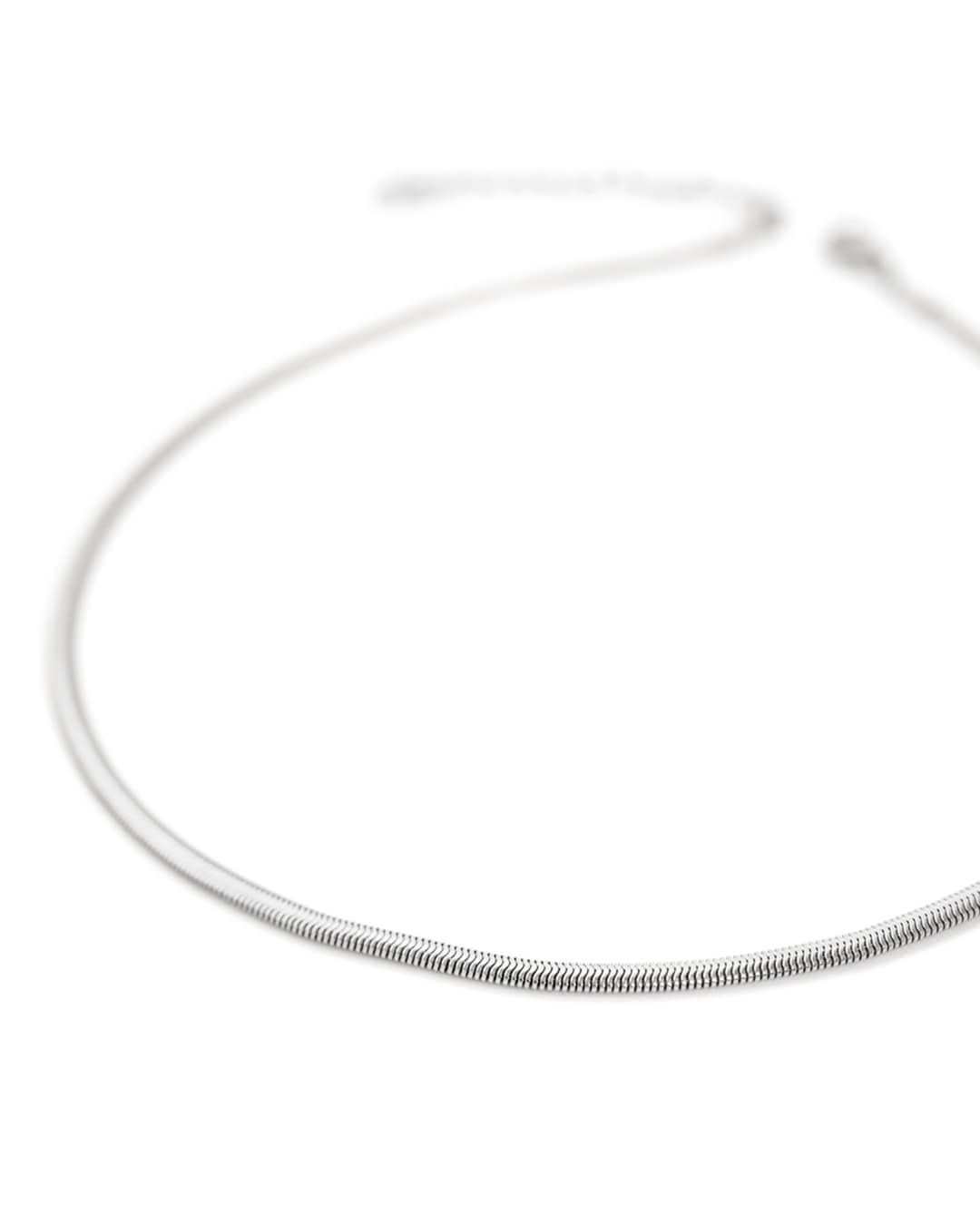 Snake Silver Necklace