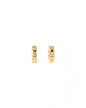 Starloop Gold Earrings
