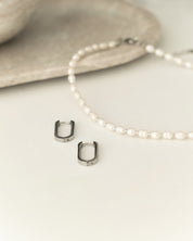 Ovio Silver Earrings