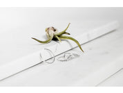 Rings - Didier • wellDunn jewelry — Handmade in Montreal