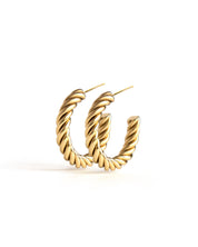 Spin Gold Earrings