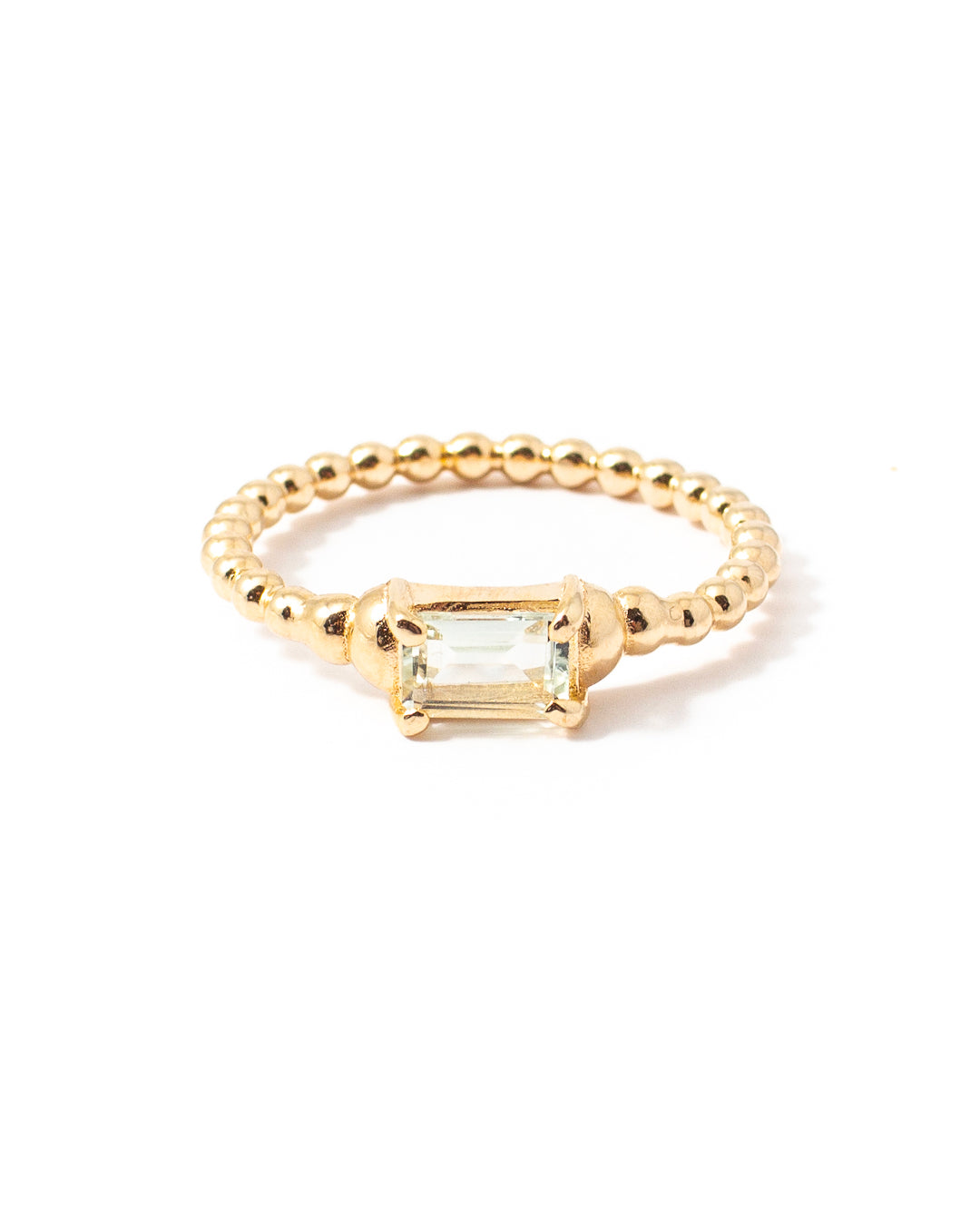 Sauge-Gold-1.jpg
