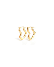 Winslet Gold Earrings
